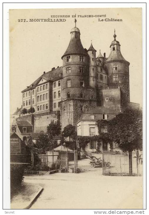 MONTBELIARD. -Le Château. - Montbéliard