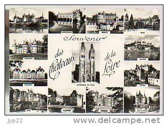 Jolie CP Photo Multivue Souvenirs Des Châteaux De La Loire - Ed Greff 417-202 - Centre-Val De Loire