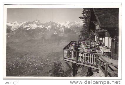 CPA - PHOTO - MERANO - AVELENGO - CAFFE BELVEDERE - FUNIVIA AVELENGO - SEILBAHN HAFLING - 5361 - Andere & Zonder Classificatie