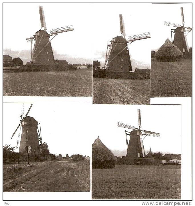 Molenbeersel : Molen (foto's) - Sonstige & Ohne Zuordnung