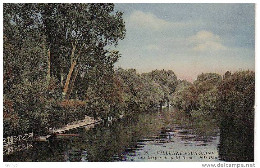 78 VILLENNES SUR SEINE Les Berges Du Petit Bras Cpa Couleur - Villennes-sur-Seine