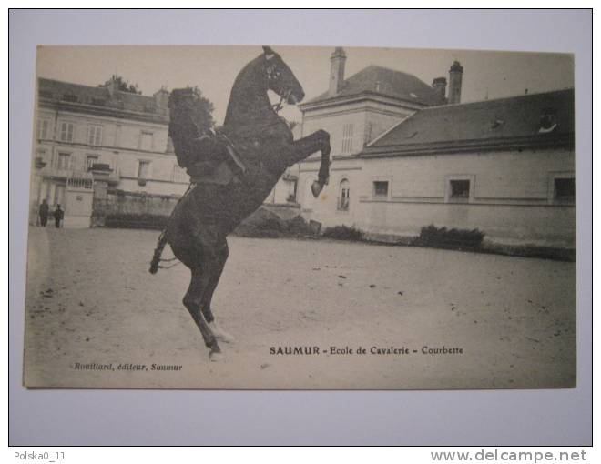 CPA   SAUMUR  CADRE NOIR   CAVALERIE  COURBETTE - Hippisme