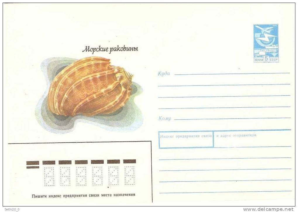 Urss Shell / Coquillage Postal Stationery - Coneshells