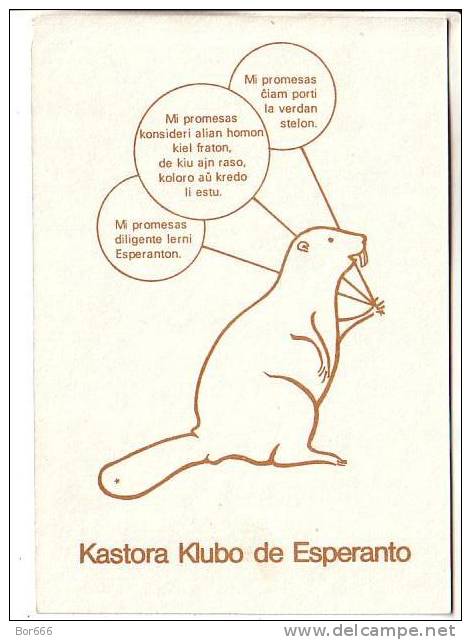 GOOD POLAND ESPERANTO Postcard - Kastora Klubo De Esperanto - Esperanto