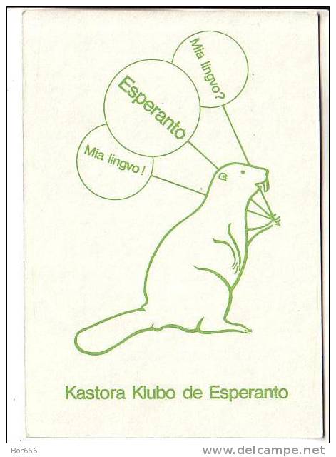 GOOD POLAND ESPERANTO Postcard - Kastora Klubo De Esperanto - Esperanto