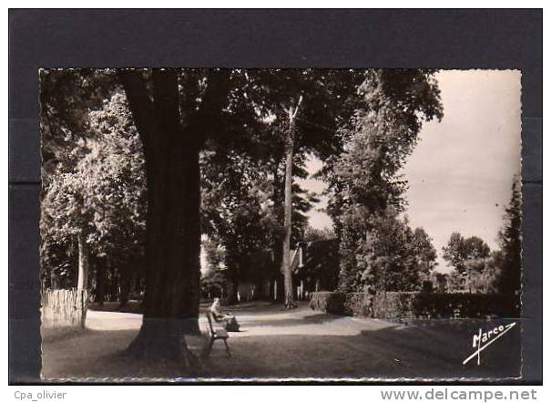 94 L'HAY LES ROSES Promenade Dans La Roseraie, Ed Marco 9, CPSM 9x14, 1951 - L'Hay Les Roses