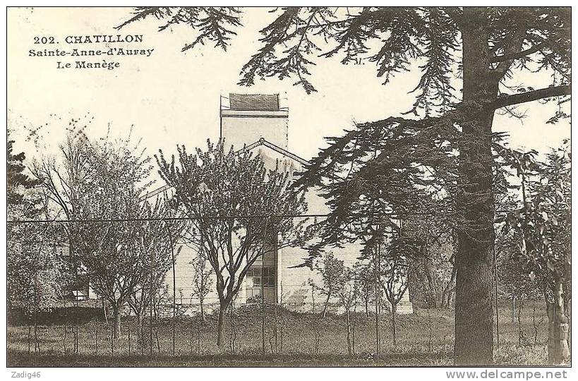 202 - CHATILLON - SAINTE ANNE D'AURAY - LE MANEGE - Châtillon