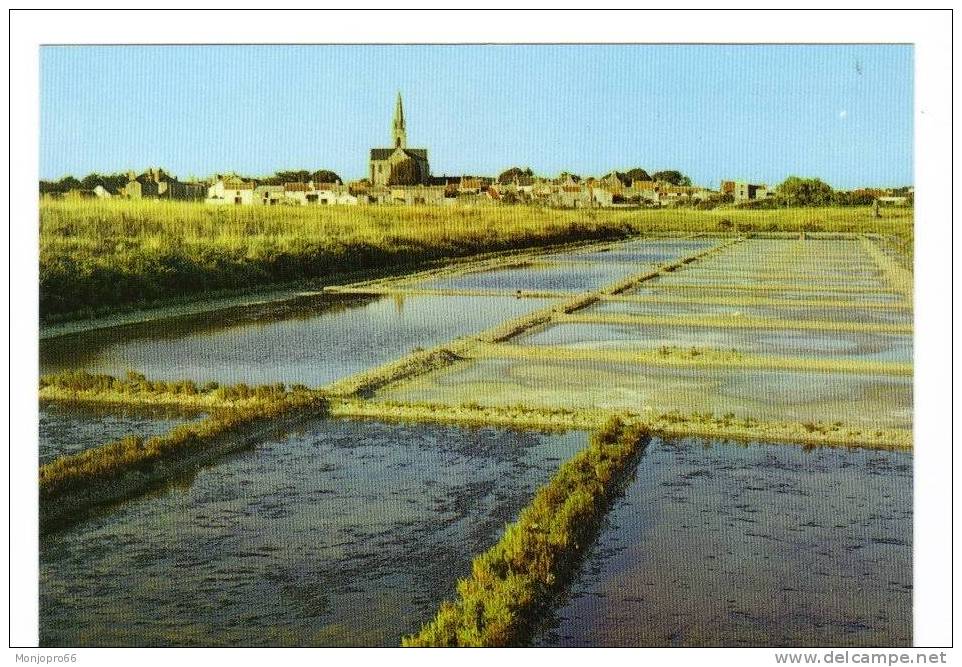 CPM De Bourgneuf En Retz   Les Marais Salants - Bourgneuf-en-Retz