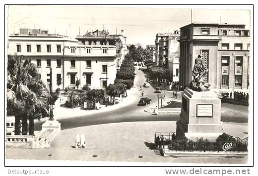 ALGERIE MOSTAGANEM Avenue Du 1er Premier De Ligne 1961 - Mostaganem
