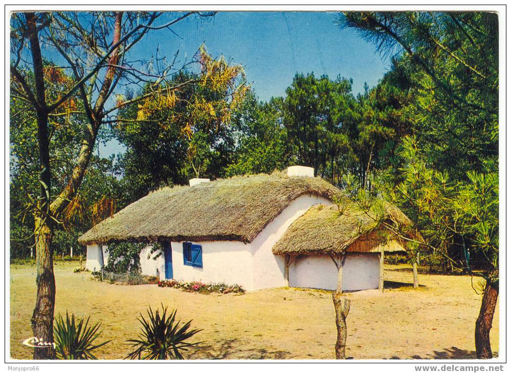 CPM De Paysages Vendéens – Bourrine Au Pays De Monts - Pays De La Loire