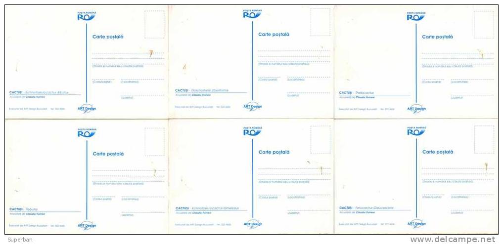 CACTUS - LOT / SÉRIE De 6 CARTES 'MAXIMUM' De ROUMANIE - ANNÉE: 1997 - TRÈS BELLES PIÈCES - À VOIR ! (b-268) - Cactusses