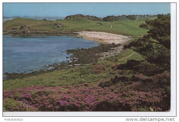 (UK51) ISLES OF SCILLY. GIMBLE PORTH, TRESCO - Sonstige & Ohne Zuordnung