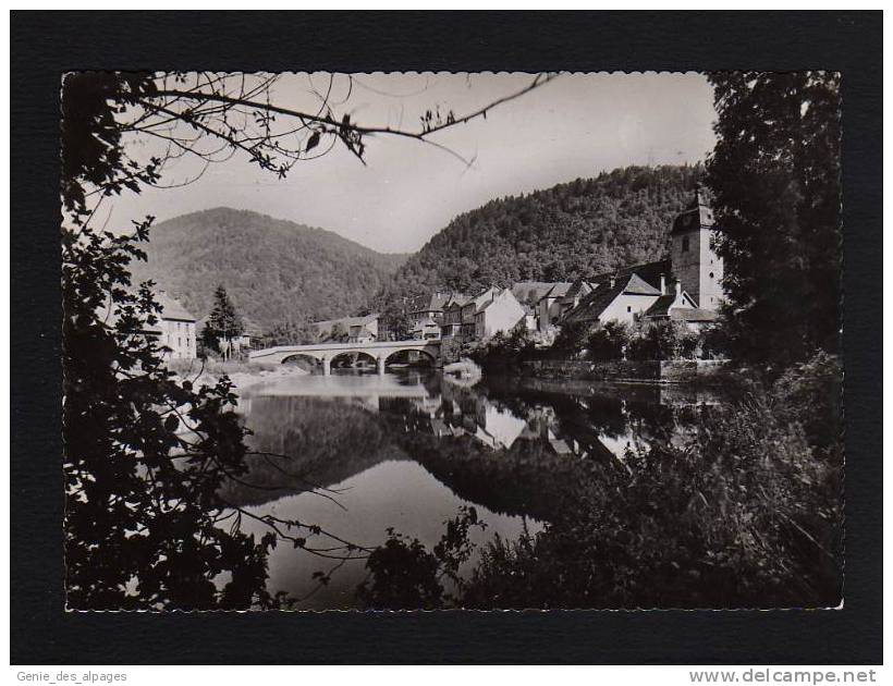 25 SAINT  HIPPOLYTE, Confluent Du Doubs Et Du Dessoubre, CPSM 10x15, Impr.Bourgeois, Dos Vierge - Saint Hippolyte