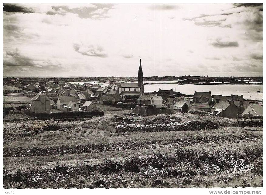 D29 - ILE DE BATZ  -  Vue Générale - Au Fond, Roscoff  - (GF) - Ile-de-Batz