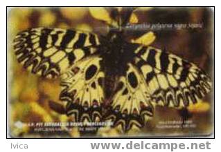 BOSNIA - 027 Butterfly - 100.000 - 5/1999 - Bosnien