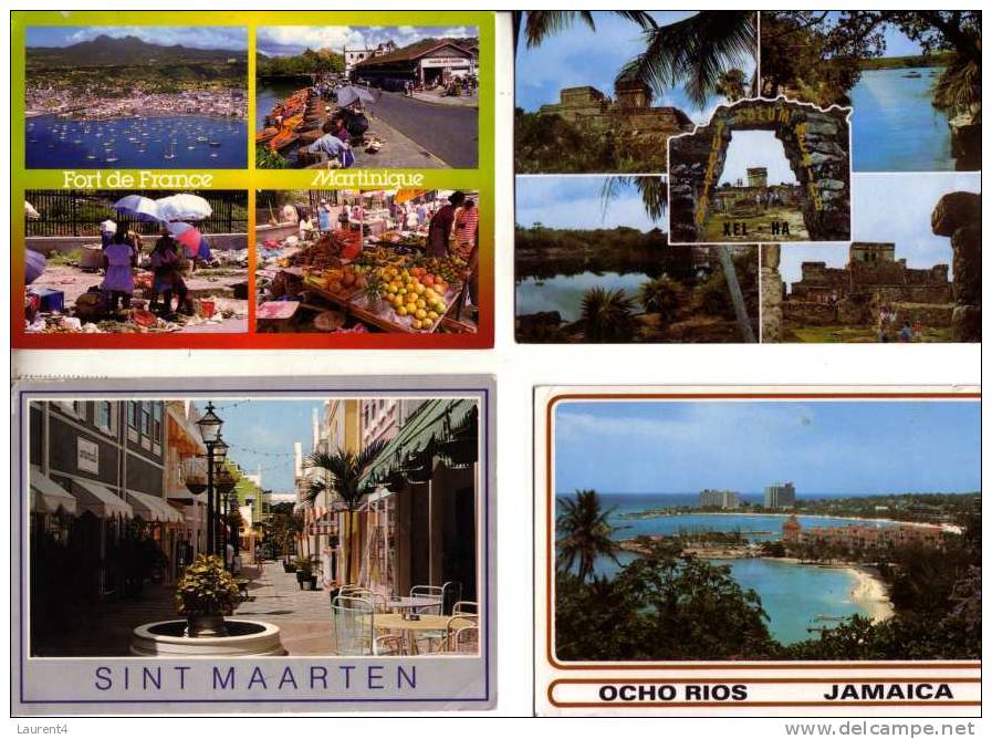 4 Caraibean Postcards -  Carte Antilles - Martinique - Japamica, Dominique - Autres & Non Classés