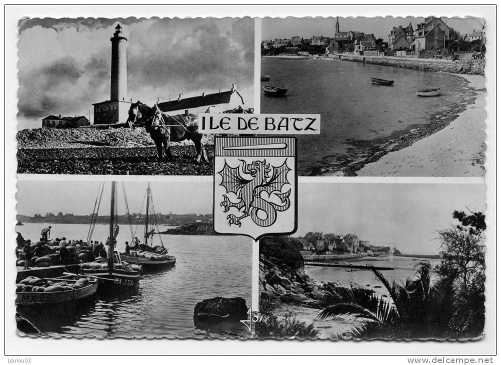 29 - ILE DE BATZ - Bord Dentelé - Ile-de-Batz