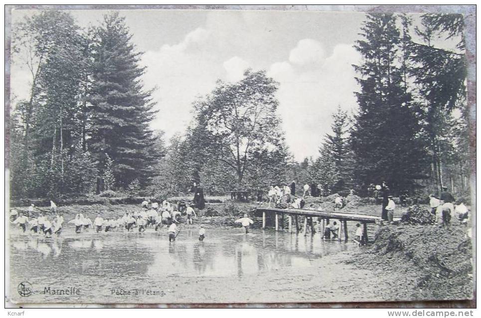 CP De MARNEFFE " Pêche à L'étang " . - Braives