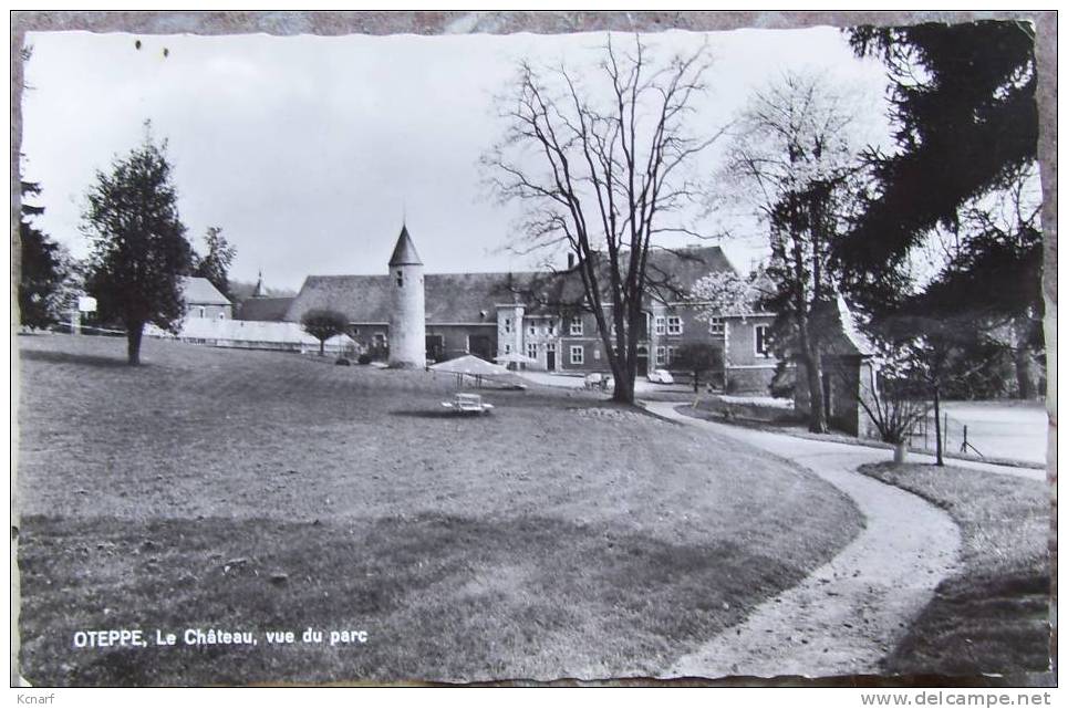 CP Photo De OTEPPE " Le Château , Vue Du Parc " . - Burdinne