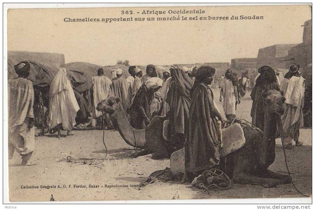 AFRIQUE OCCIDENTALE  -  SOUDAN  ; Chameliers Apportant Sur Un Marché Le Sel En Barres  (Fortier 362). - Soudan