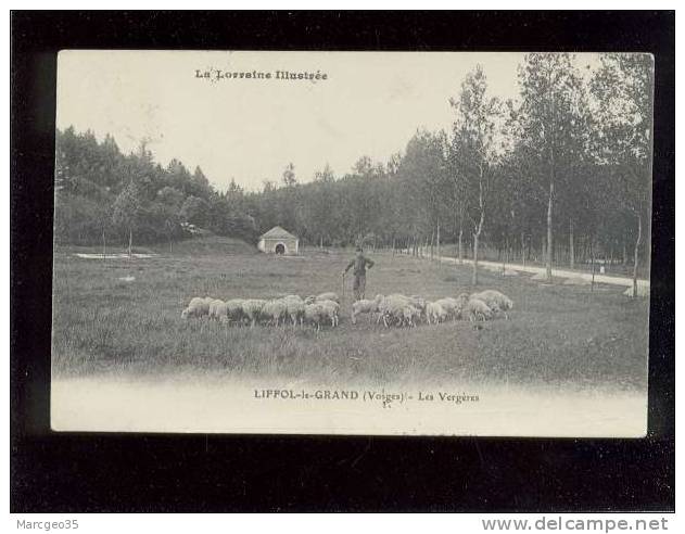 Liffol Le Grand Les Vergères édit.?? Berger & Ses Moutons   Belle Carte - Liffol Le Grand