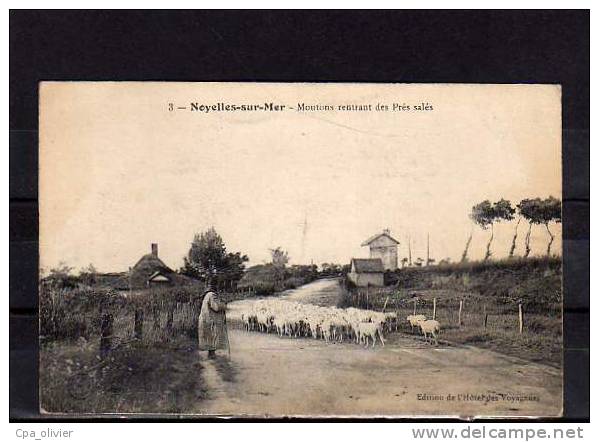 80 NOYELLES SUR MER Types, Bergère, Moutons Rentrant Des Prés Salés, Cachet Chef D'Escadron, Métier, Ed HV 3, 1915 - Noyelles-sur-Mer