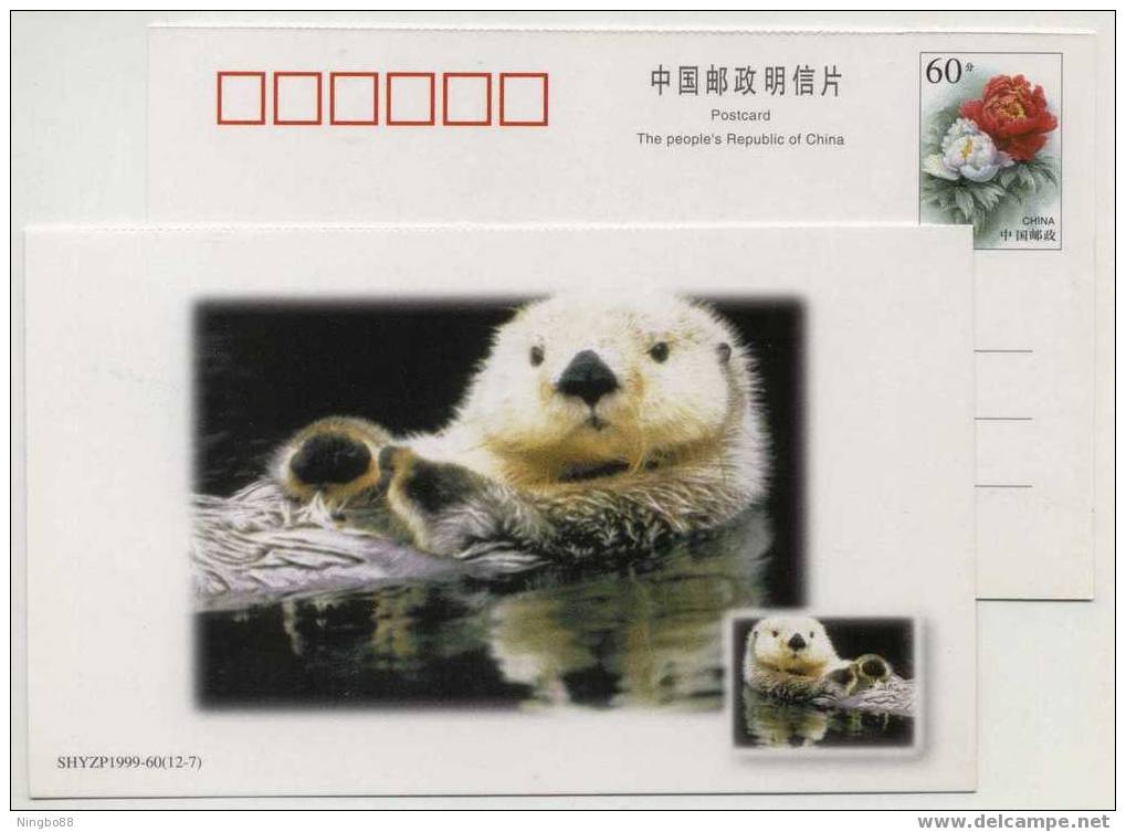 China 1999 New Year Greeting Postal Stationery Card Rare Animal Otter - Roedores