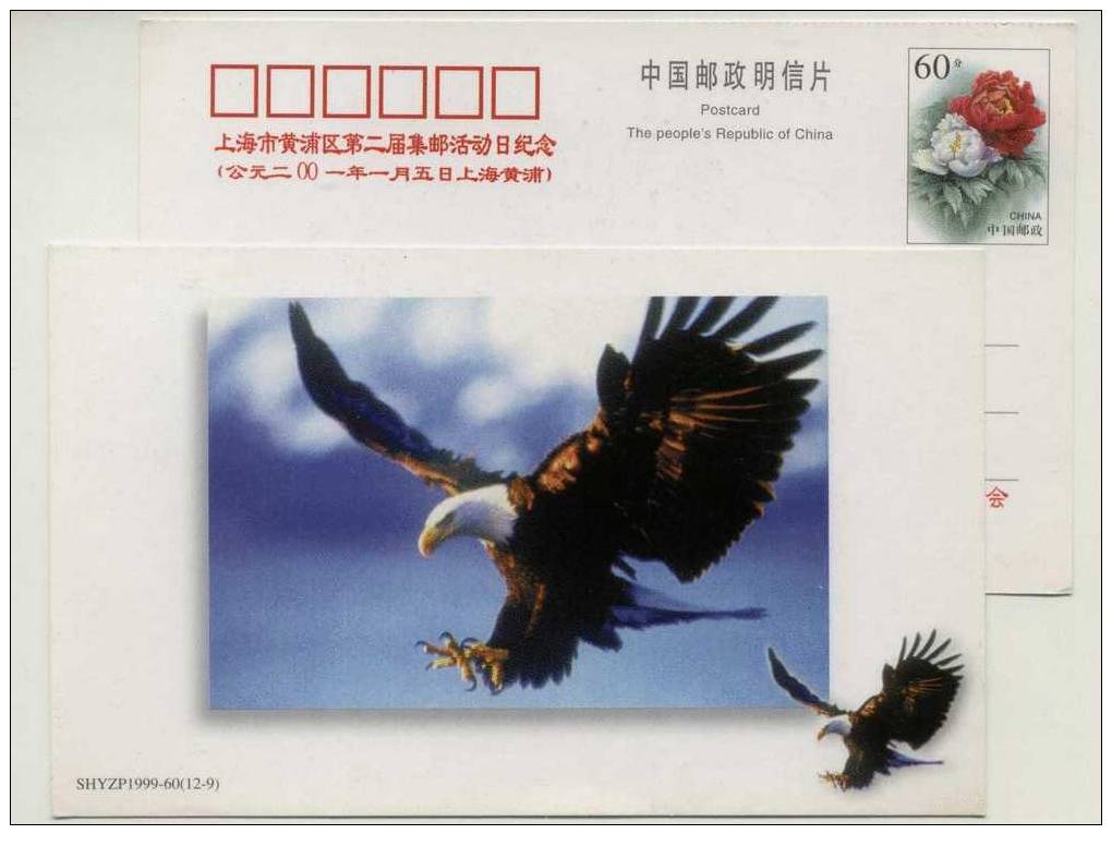 China 1999 New Year Greeting Postal Stationery Card Endangered Rare Bald Eagle - Aigles & Rapaces Diurnes