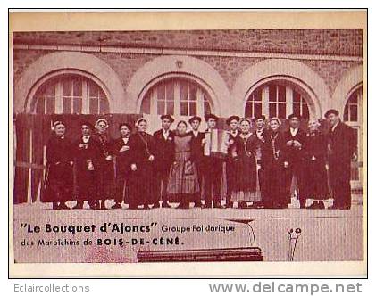 BOIS-DE-CENE..groupe Folkorique Des Maraichins - Sonstige & Ohne Zuordnung