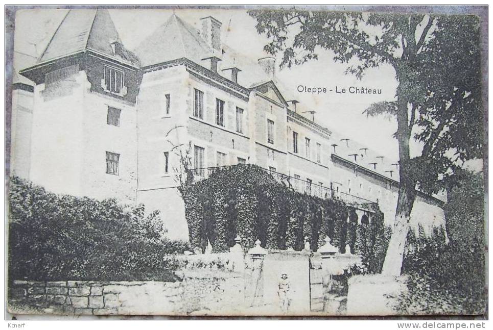 CP De OTEPPE " Le Château " . - Burdinne