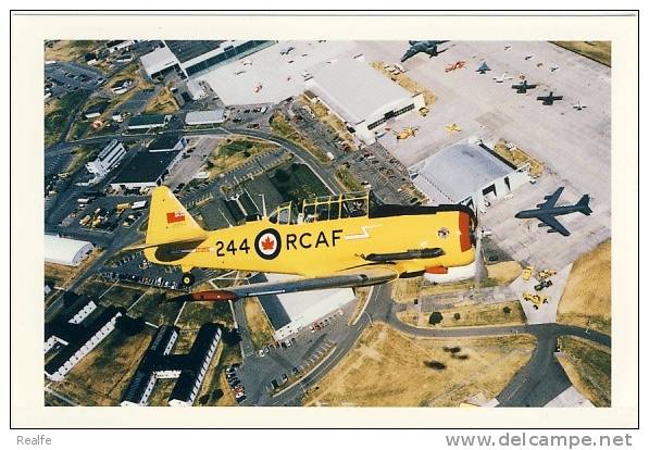 Plane WW2 Harvard Trainers Comox British Columbia Canada - 1939-1945: 2nd War
