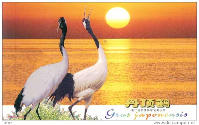 #B1#  Crane Birds Grus Japonensis   ,  Prepaid Card , Postal Stationery - Kraanvogels En Kraanvogelachtigen