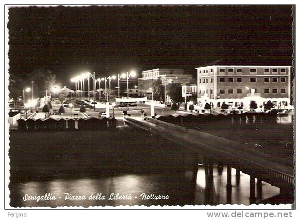 301/FG/08 - SENIGALLIA (ANCONA) - Piazza Della Libertà, Notturno - Senigallia