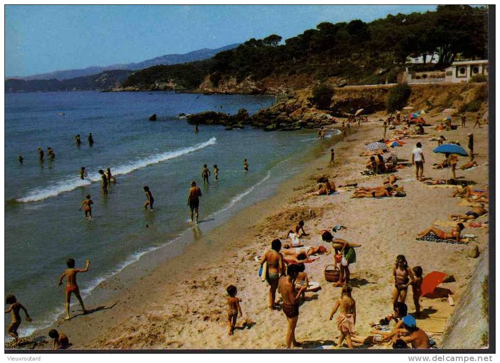 CPSM.  LE PRADET. LA PLAGE DE LA GARONNE. DATEE 1980. - Le Pradet