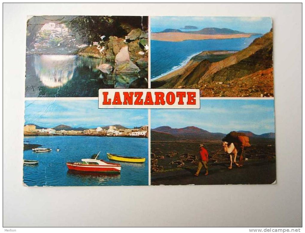 ESPAÑA  - Lanzarote - Camel    CPM   F 1970's  D41945 - Lanzarote