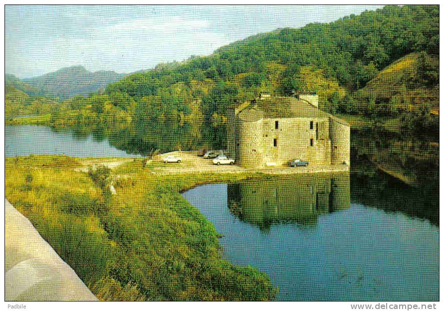 Carte Postale 48.  Villefort  Le Chateau De Castenet Sur Les Bords Du Lac Trés Beau Plan - Villefort