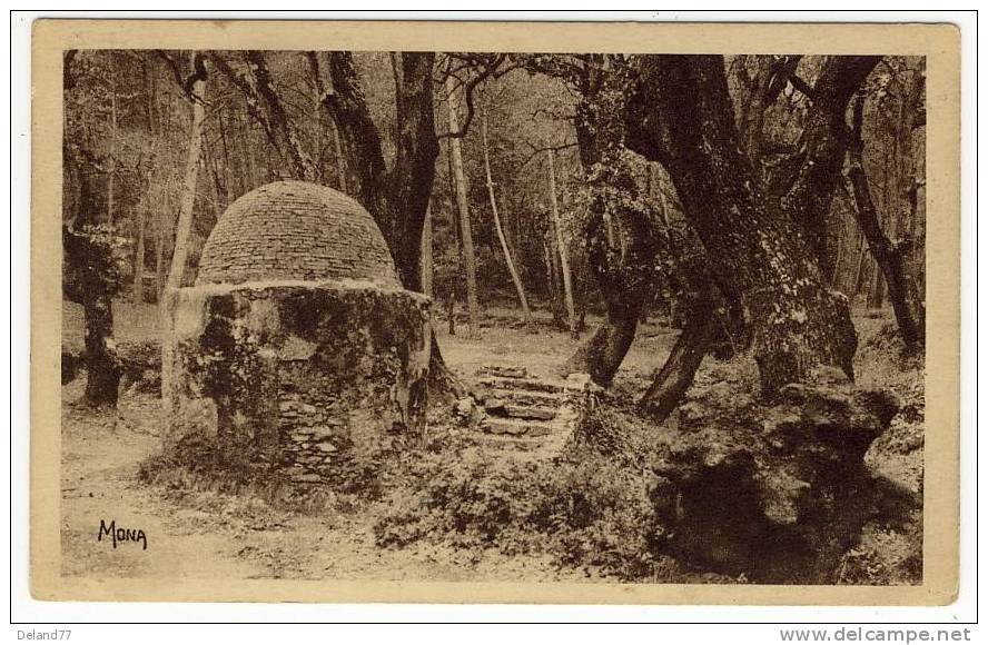 TAMARIS SUR MER - Sous-bois De La Rouve , Vieux Puits Dit De Jacob - Tamaris