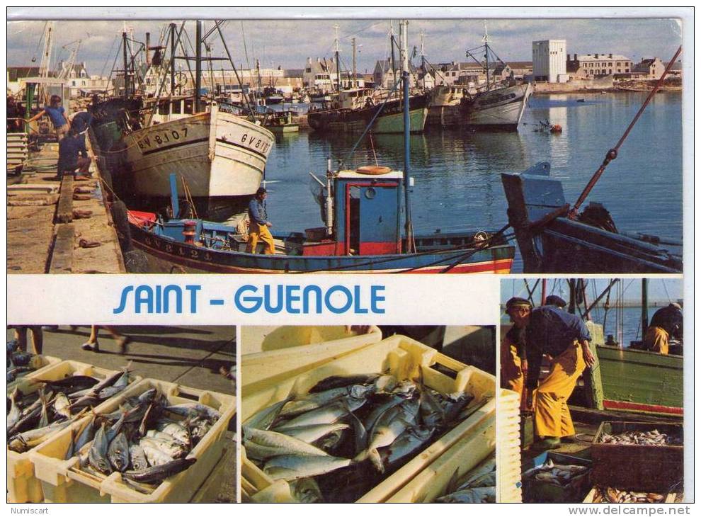 CPM....SAINT-GUENOLE - PENMARCH   AMIMEE   BELLE  MULTI-VUES DU PORT - Penmarch