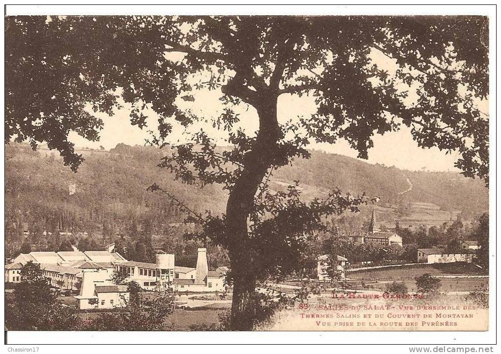 31 - SALIES-du-SALAT  -  Vue D´ensemble Des Thermes Salins Et Du Couvent De Montavan -Vue Prise De La Route Des Pyrénées - Salies-du-Salat