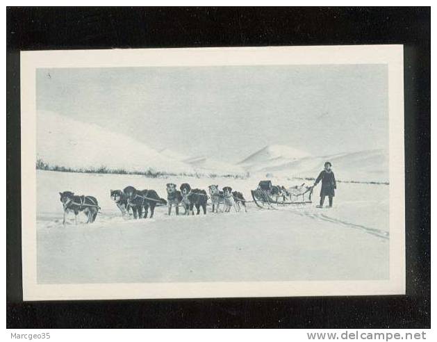 Wagons Lits De L'artique Alaska édit.impr.réunies Nancy Attelage De Chien  Belle Carte - Autres & Non Classés