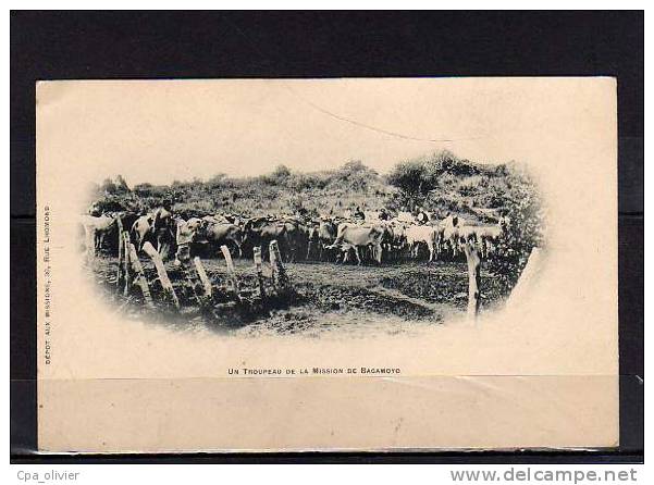 TANZANIE Bagamoyo, Types, Troupeau De Boeufs, Mission, Ed DM, Dos 1900 - Tanzania