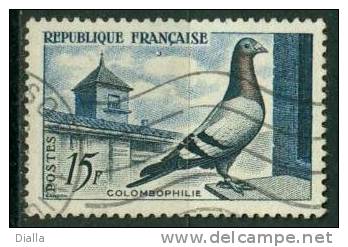 RF 1957, Yv. 1091, Pigeon Voyageur Colombophilie - Homing Pigeon - Tauben & Flughühner