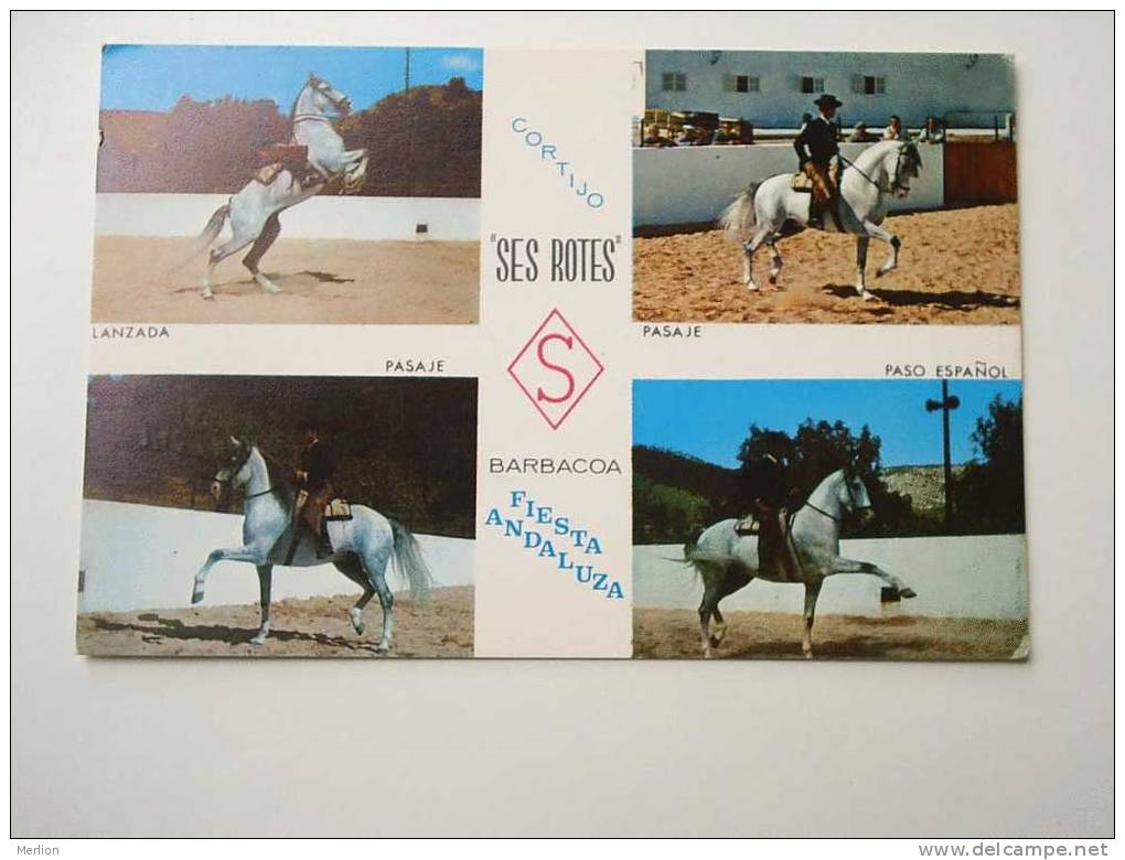 Espana - Ses Rotes -Cortijo - Barbacoa - Fiesta Andaluza    - Horses  CPM   VF     D42050 - Almería