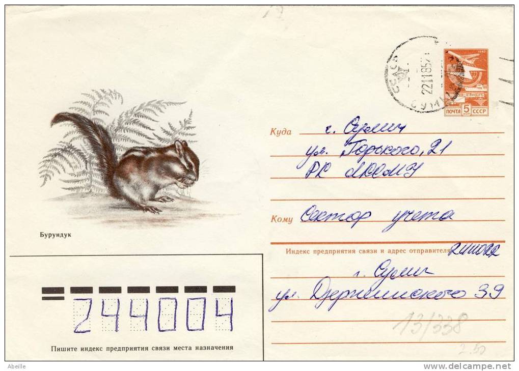 13/338         ENVELOPPE RUSSE   ECURIEUL - Roedores