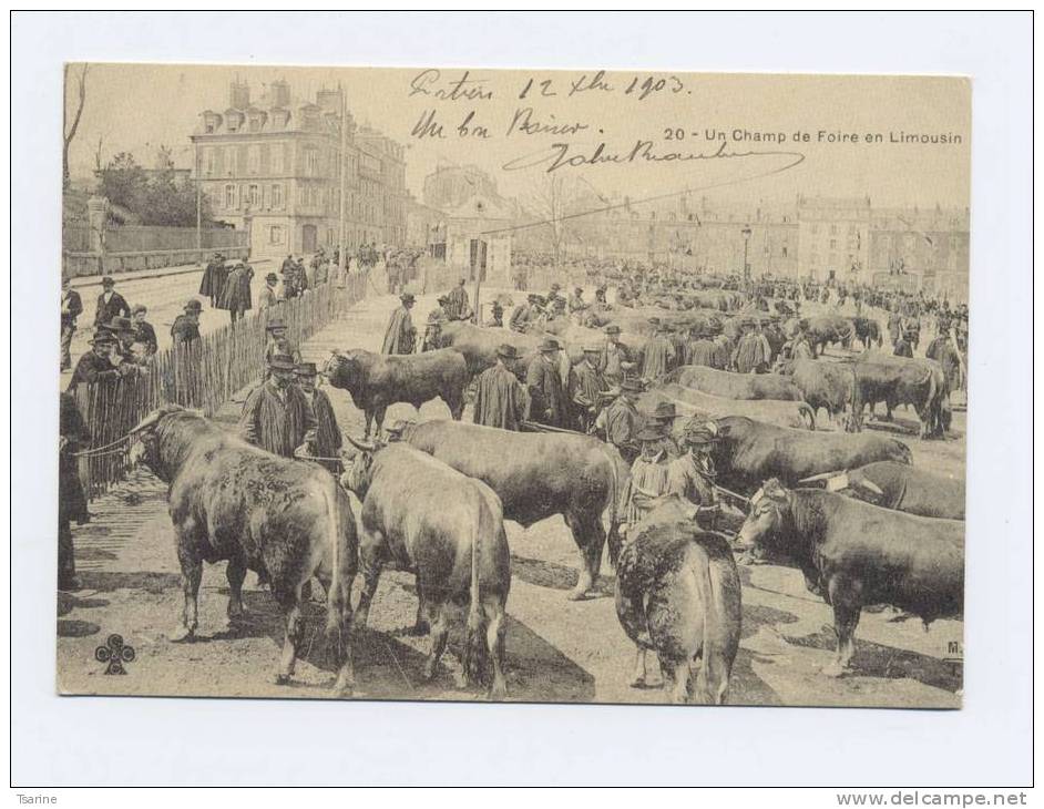 Un Champ De Foire En Limousin   REPRO - Limousin