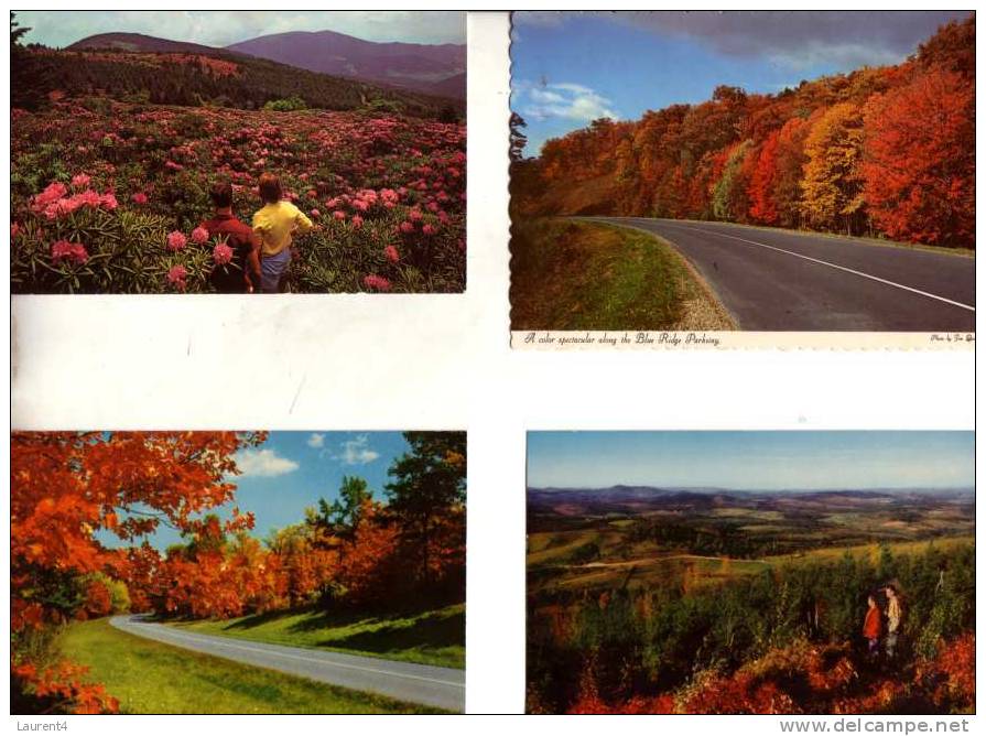 4 Older US Mountain Postcards - Cartes De Montagne Aux Etats Unis - Andere & Zonder Classificatie