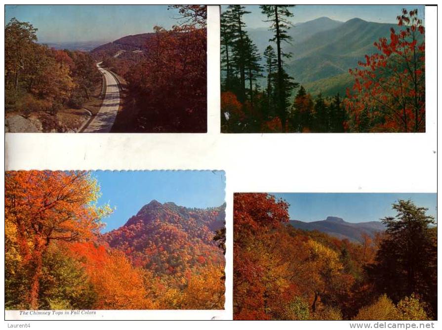 4 Older US Mountain Postcards - Cartes De Montagne Aux Etats Unis - Autres & Non Classés