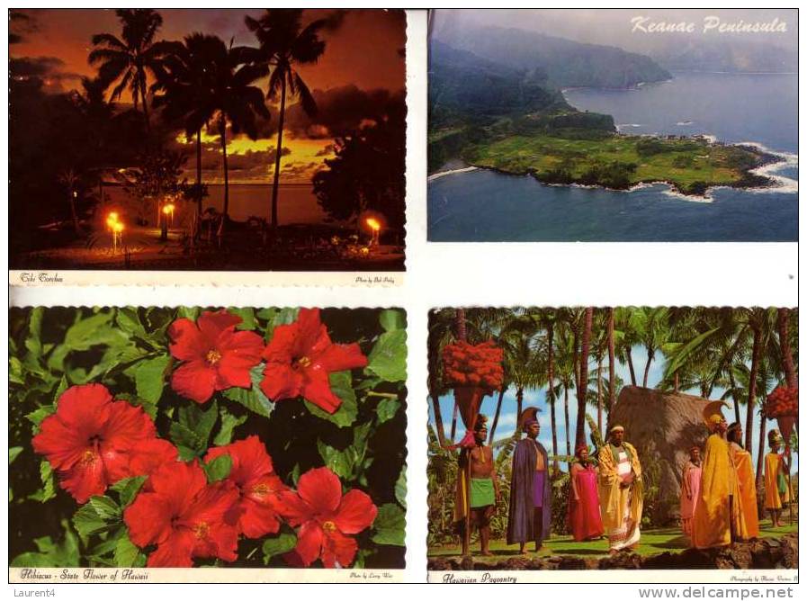 4 Older Postcards - Cartes Des Etats Unis -  Hawaii - Andere & Zonder Classificatie