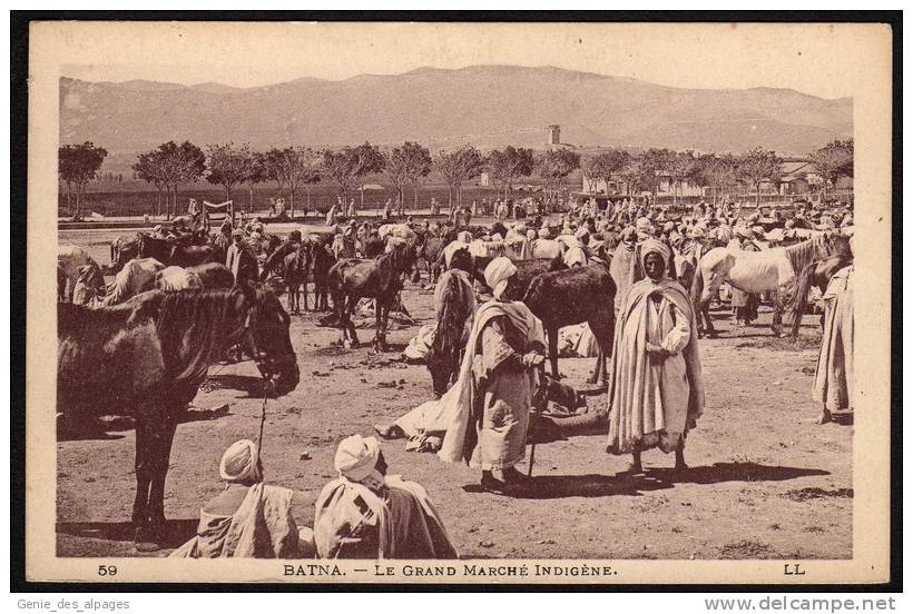 BATNA, Grand Marché Indigène Animée, Chevaux, LL 59, Dos Divisé Vierge, Bon état - Batna