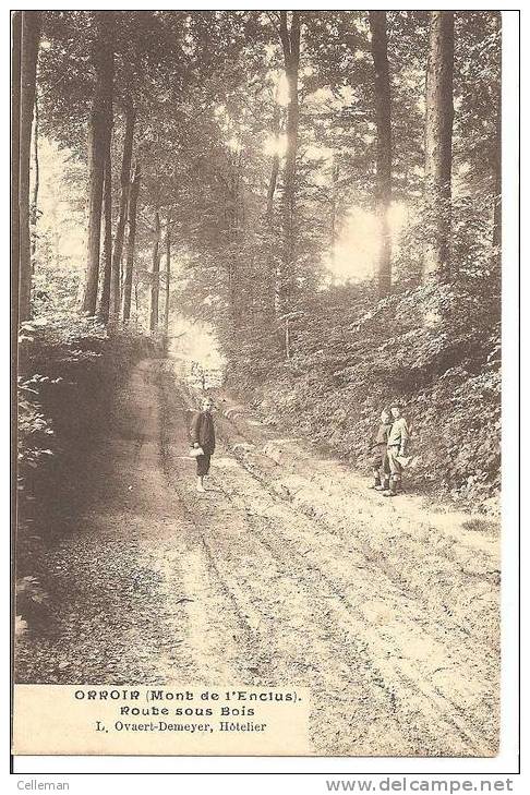 Orroir Mont De L'enclus Route Sous Bois Animé 1907 (h735) - Mont-de-l'Enclus